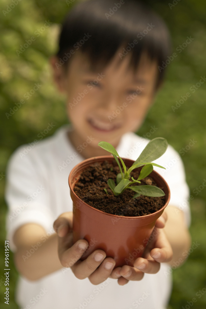 年轻男孩双手捧着植物