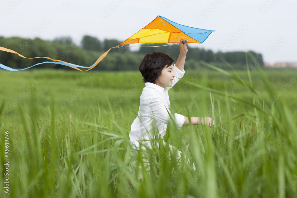 Excited boy flying a kite on the grass