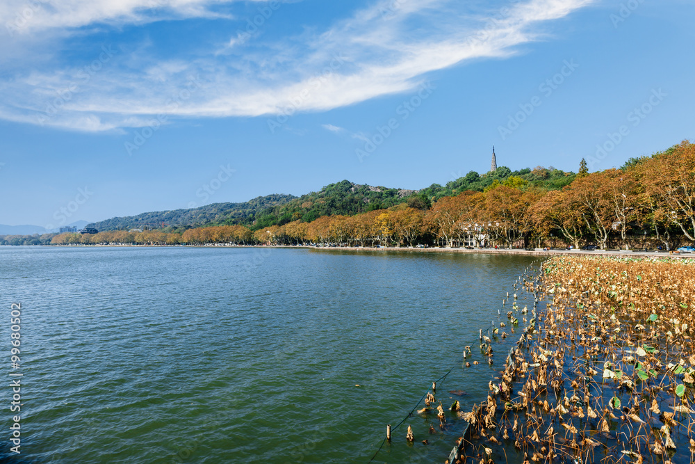 秋天的杭州西湖美景，中国