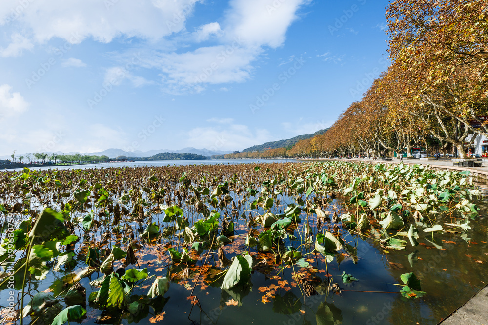 秋天的杭州西湖美景，中国