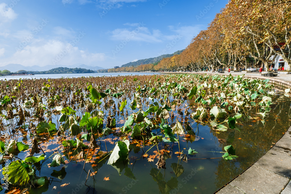 秋天的杭州西湖美景，中国