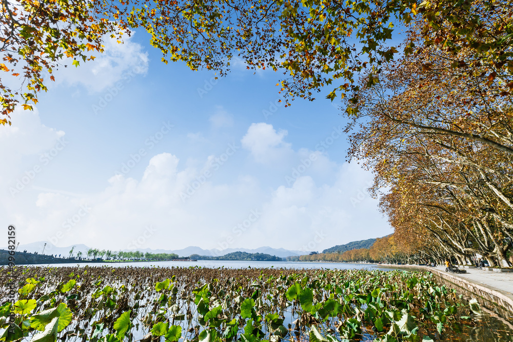 秋天的杭州西湖美景，中国