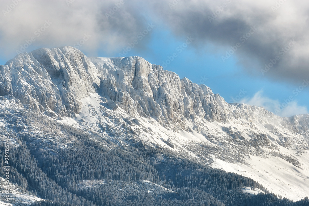 Sunny day of a winter, on wild transylvania hills with Bucegi mountains in background.. 09.01.2016. 