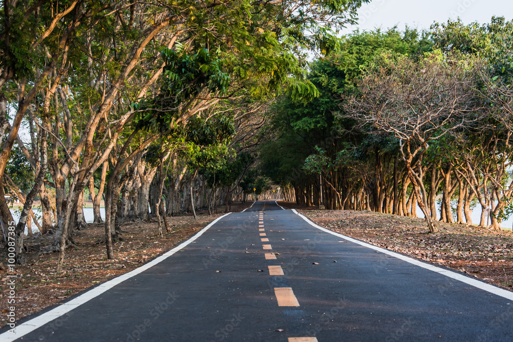 公园里的路