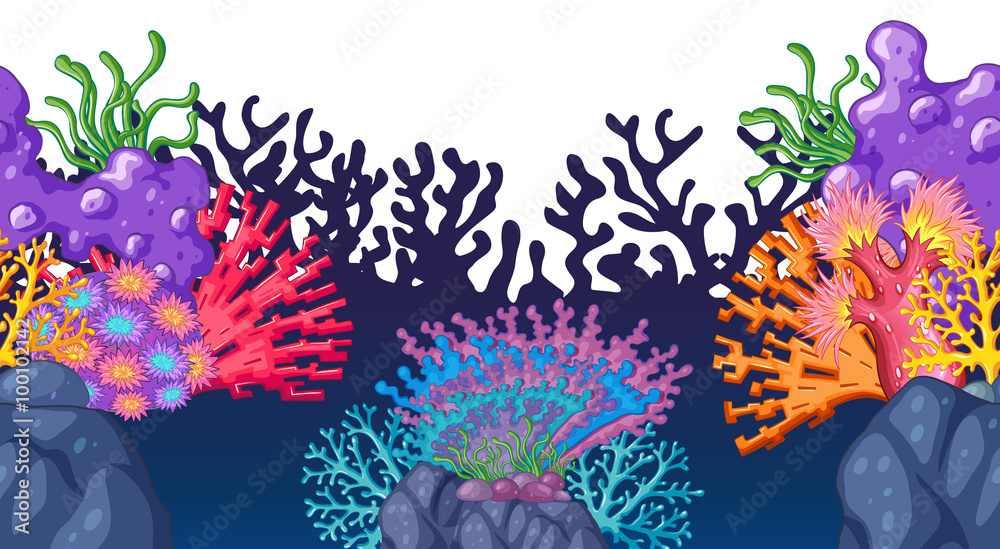 海底无缝珊瑚礁