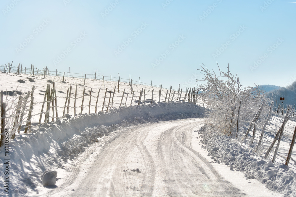 sunny day of a winter, on wild Transylvania hills. Romania. Low key, dark background, spot lighting,