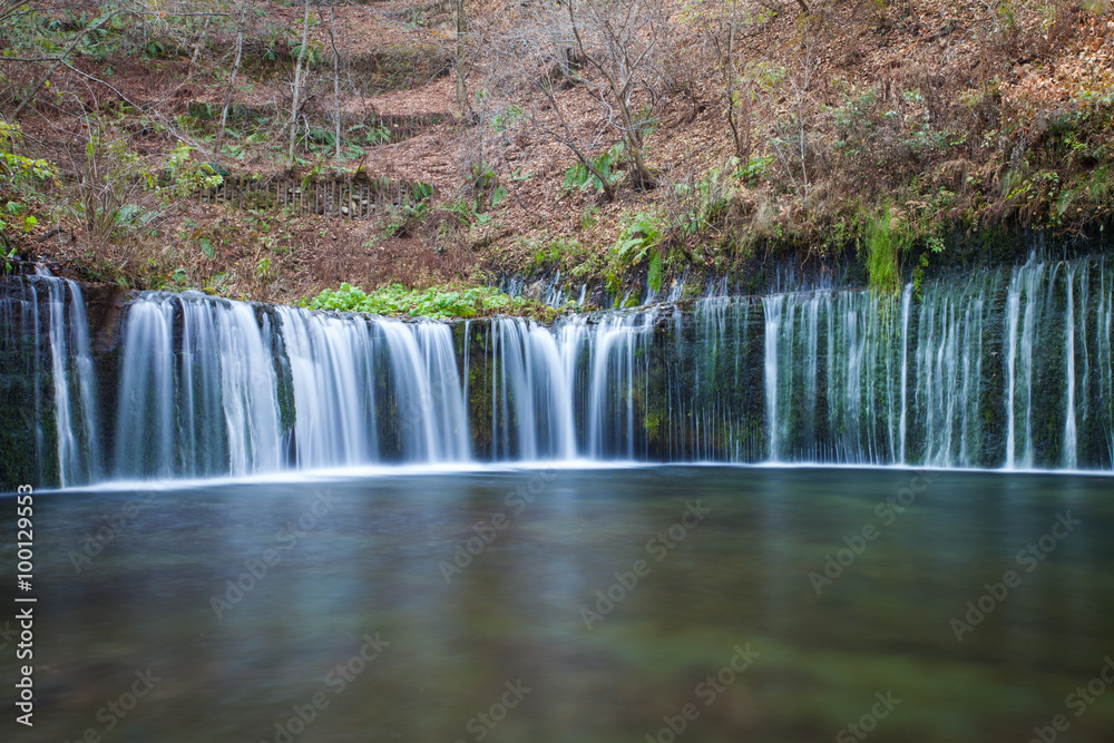 Shiraito Waterfall in autumn season ,  is located in the forests north of downtown Karuizawa , Japan