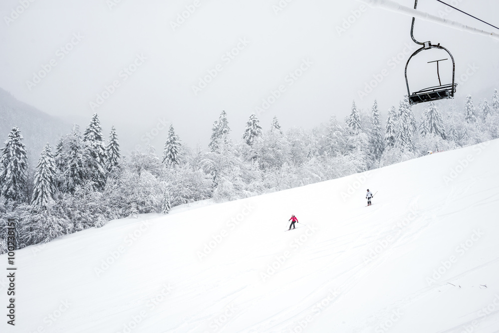 科拉辛1450山针叶林滑雪坡