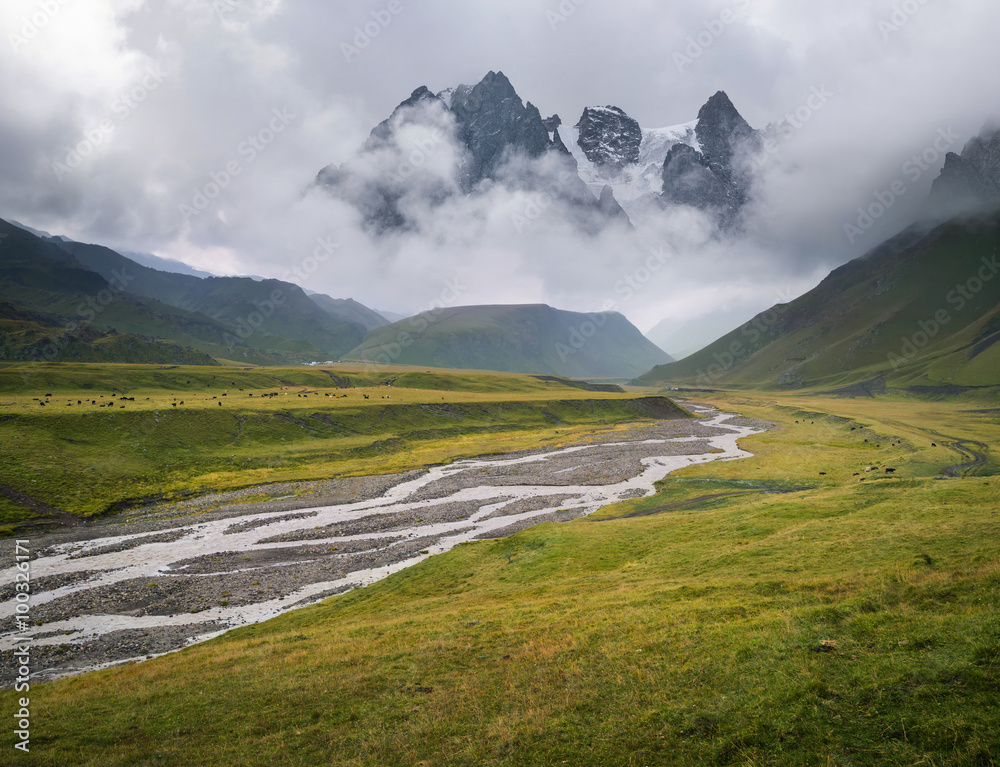 下雨时山谷中的河流。美丽的自然景观