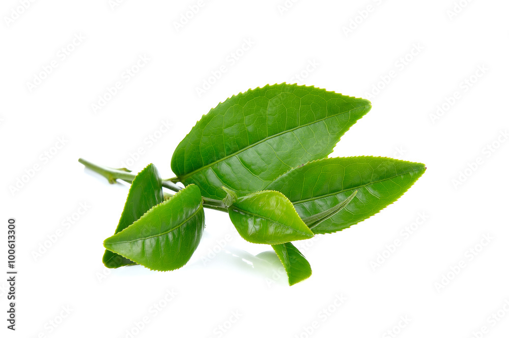 green tea leaf isolated on white background