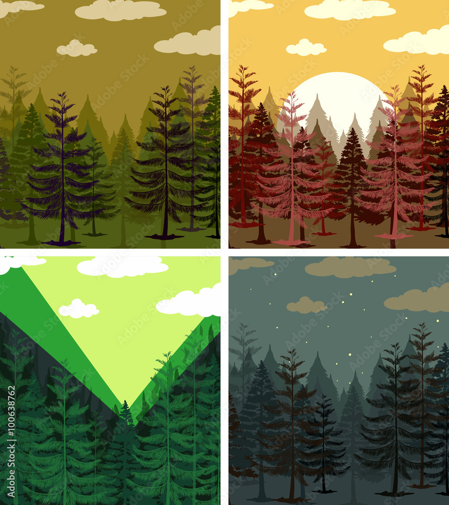 Four scenes of pine forests