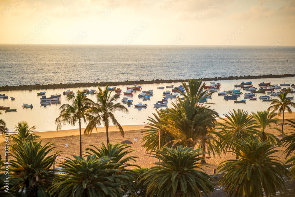 Fishing boats on the beach