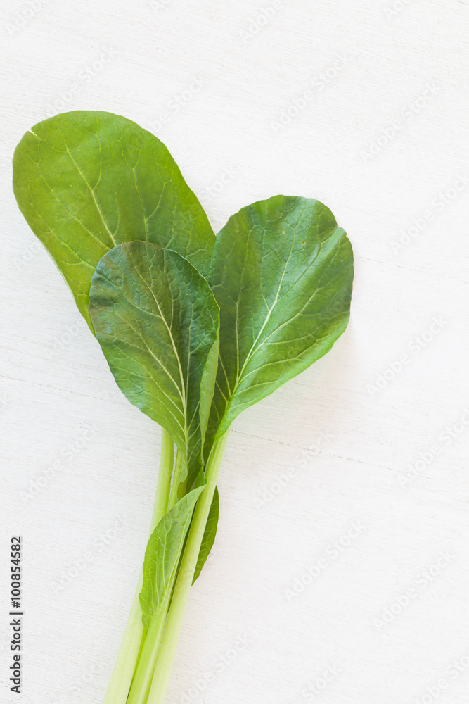 一种用于中餐烹饪的大白菜