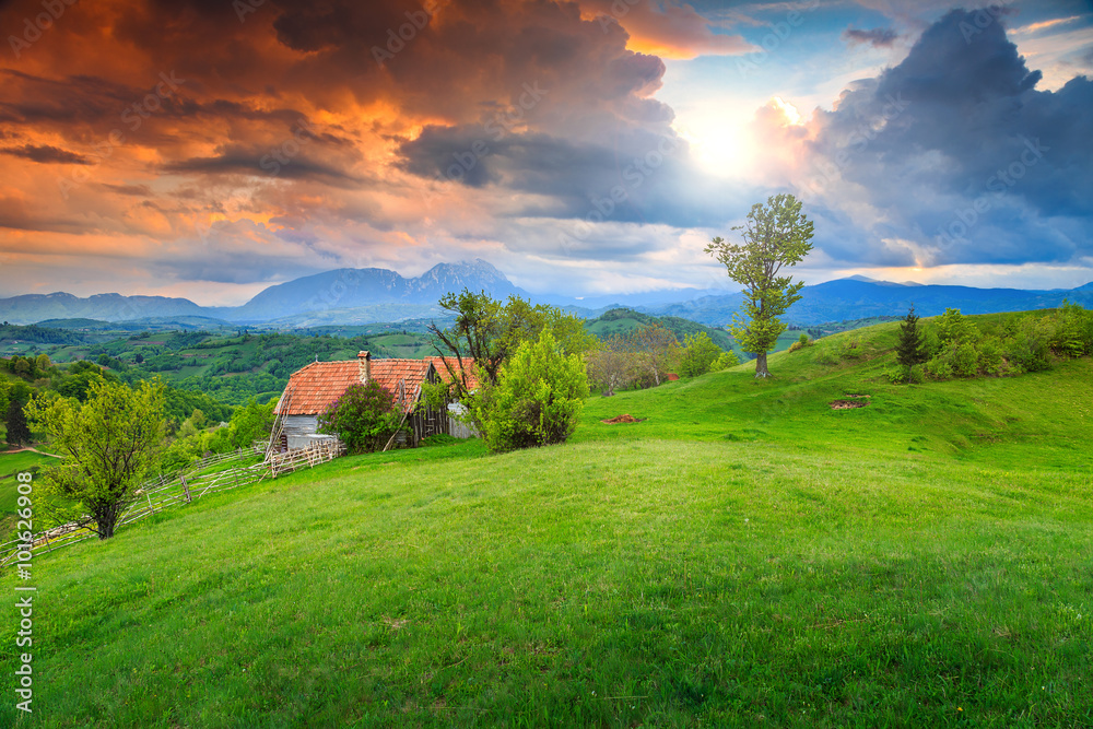 Summer landscape in Transylvania,Holbav,Romania,Europe