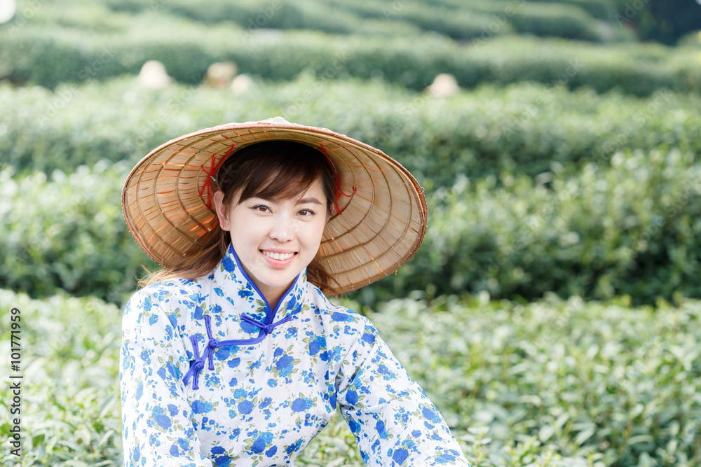 种植园里的亚洲漂亮采茶女孩