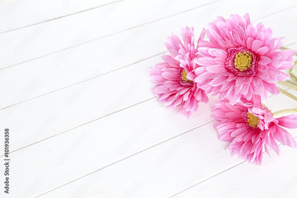 gerbera flower on white wood background