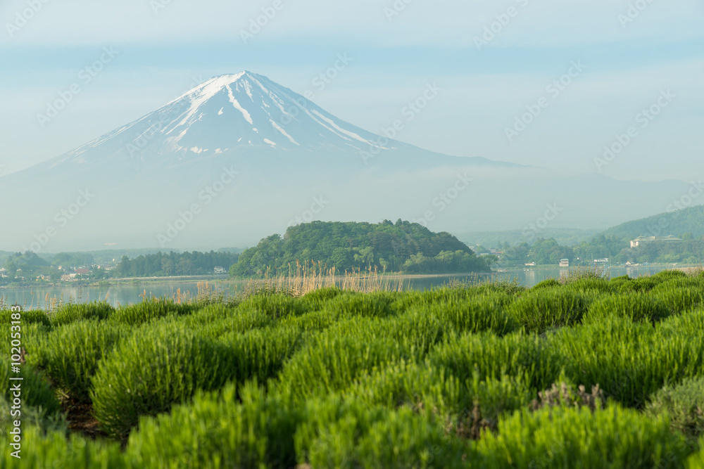 日本富士山特写