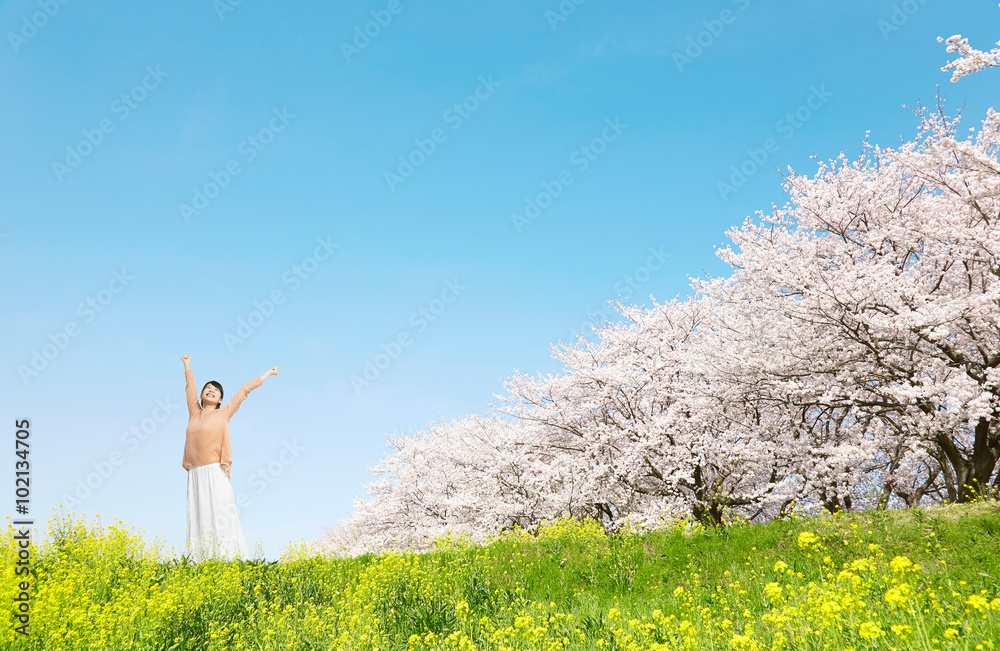 満開の桜と菜の花と女性