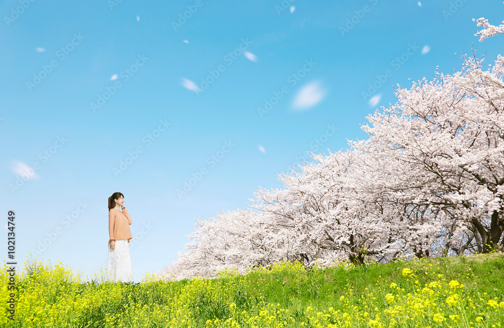 満開の桜と菜の花と女性