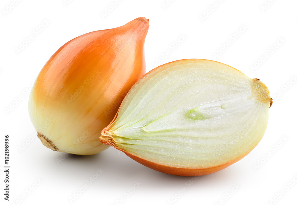 Fresh onion bulb with cut isolated on white. With clipping path.