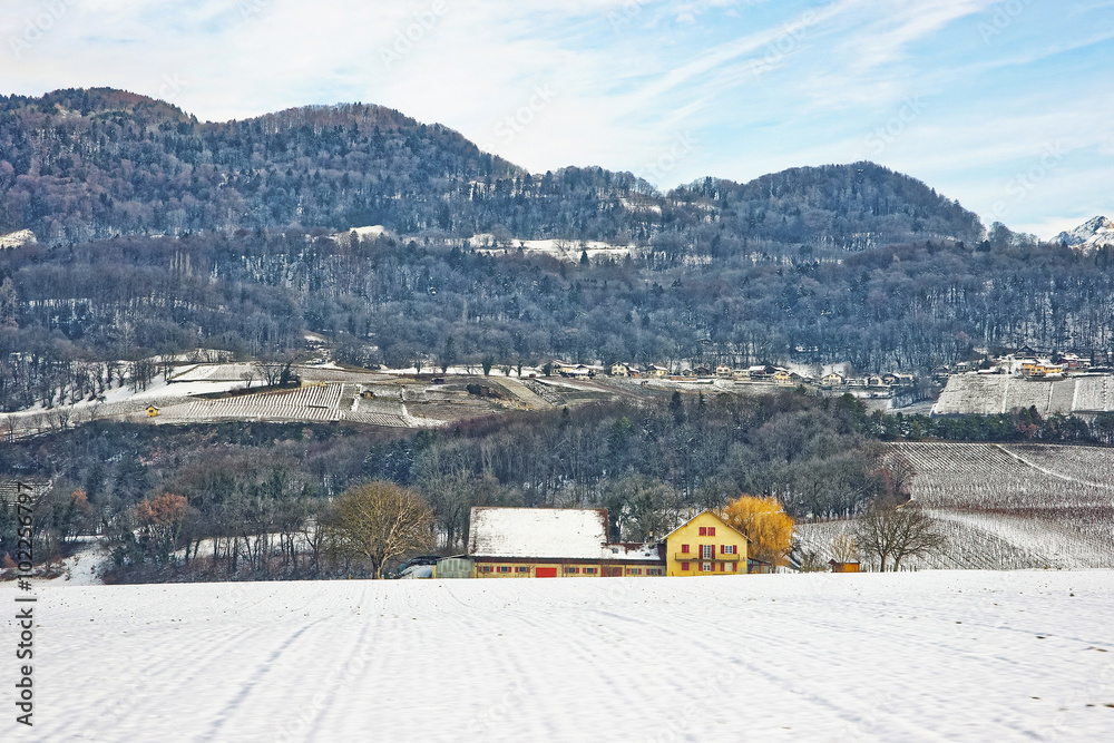 雪冬瑞士乡村景观