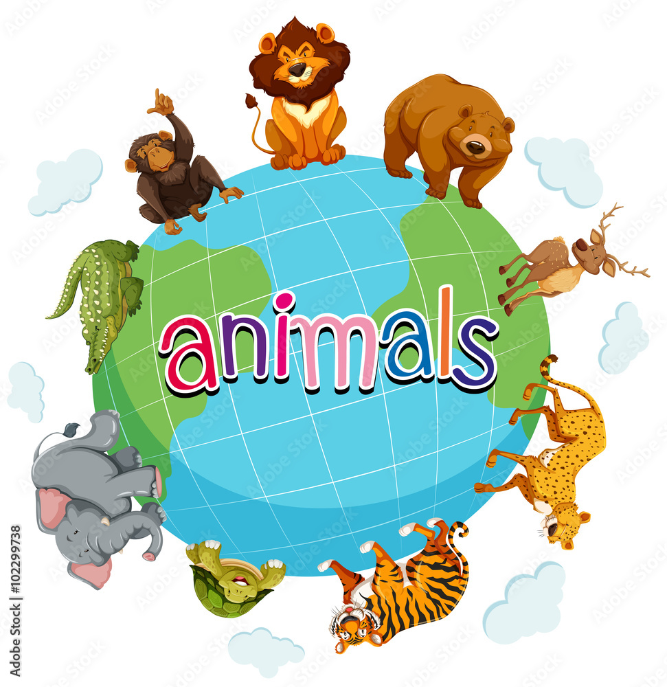 Wild animals around the world