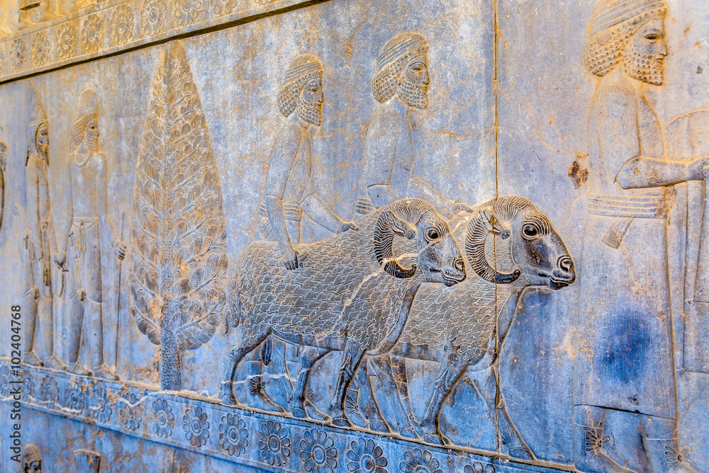 Ancient persian carving in Persepolis - Iran