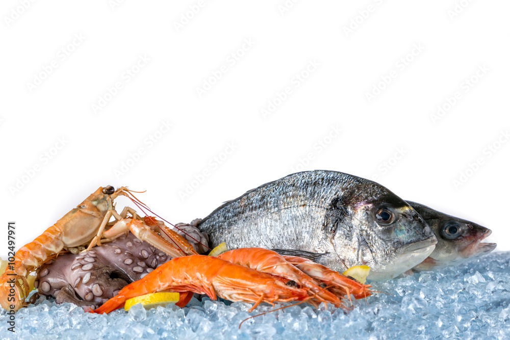 Fresh seafood isolated on white background