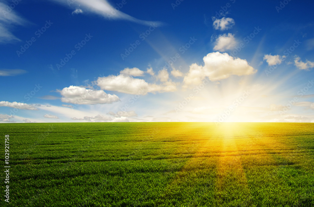  field and sun