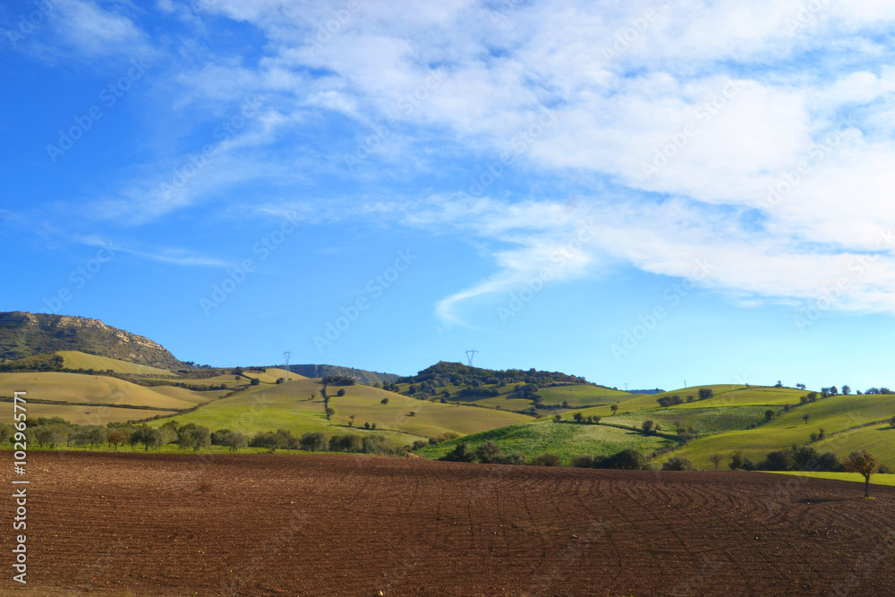 佩萨乔·康·特雷诺·阿拉托在普里莫钢琴中，delle colline sullo sfondo e le nuvole nel cielo azzurro