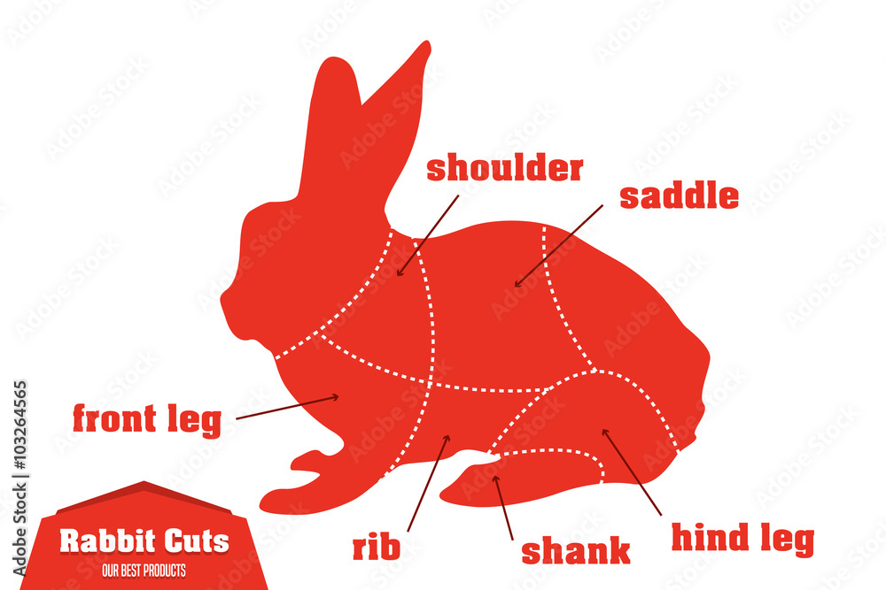 兔子切肉信息图，矢量