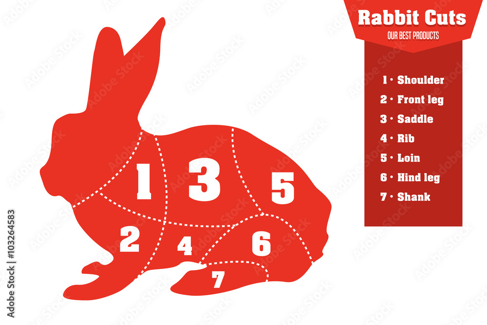 兔子切肉信息图，矢量