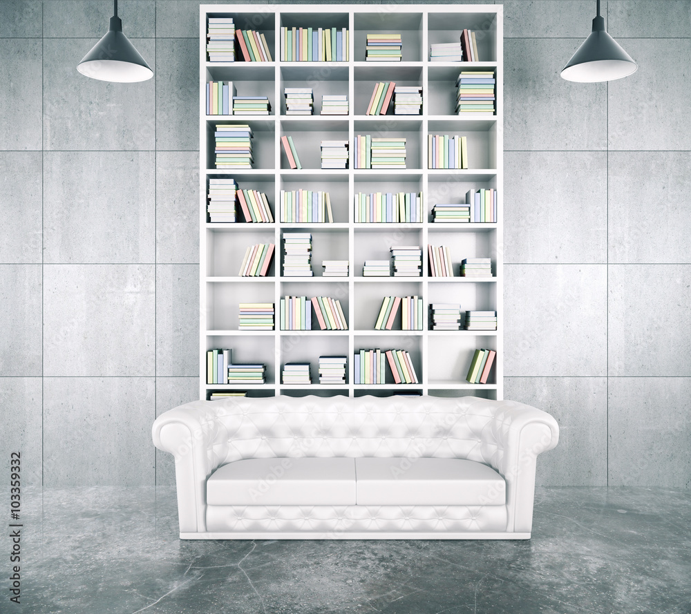 Modern loft room with big white bookcase, white leathe chesterfi