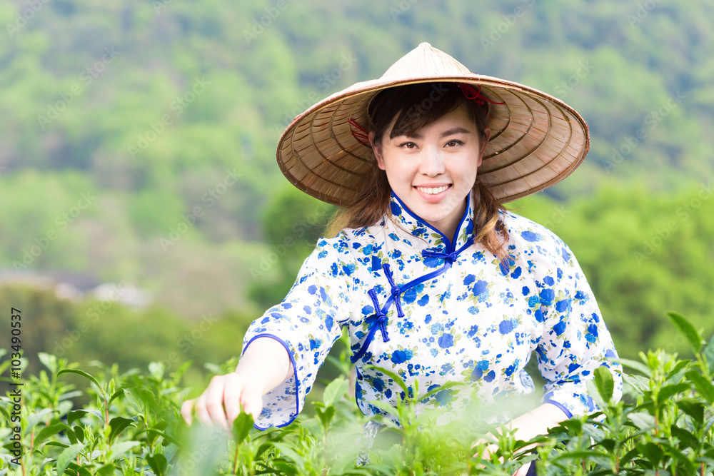 茶园里美丽的亚洲女孩