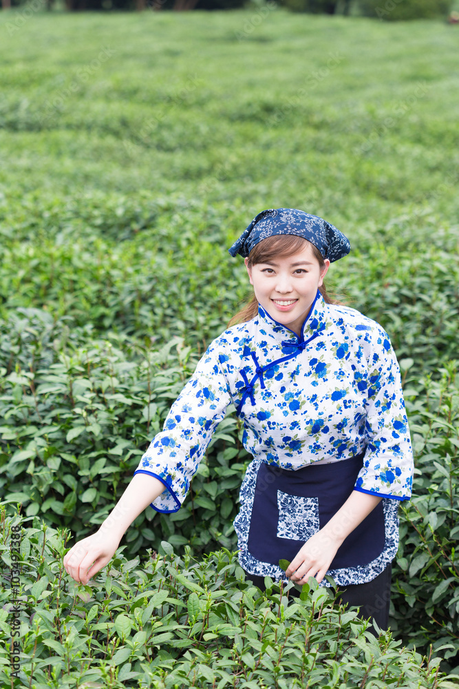 beautiful Asian girl in tea plantation