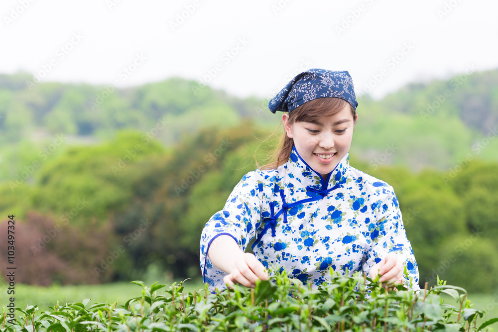 茶园里美丽的亚洲女孩