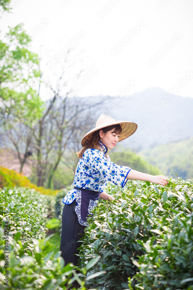 茶园里美丽的亚洲女孩