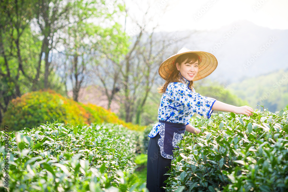 茶园里美丽的亚洲女孩