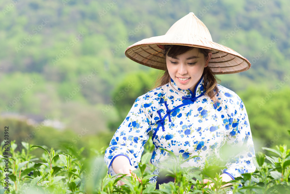 茶园里美丽的亚洲女孩