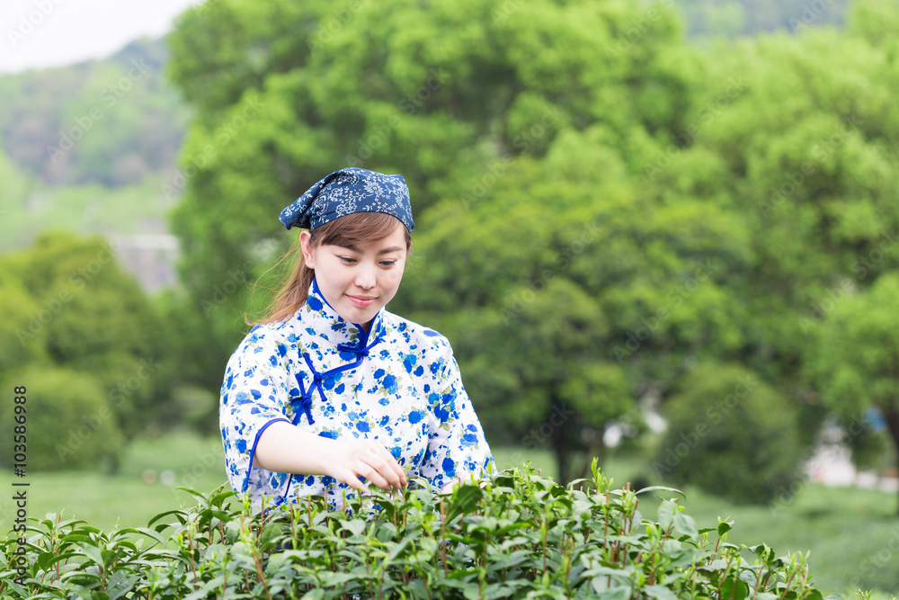 茶园里美丽的亚洲女孩