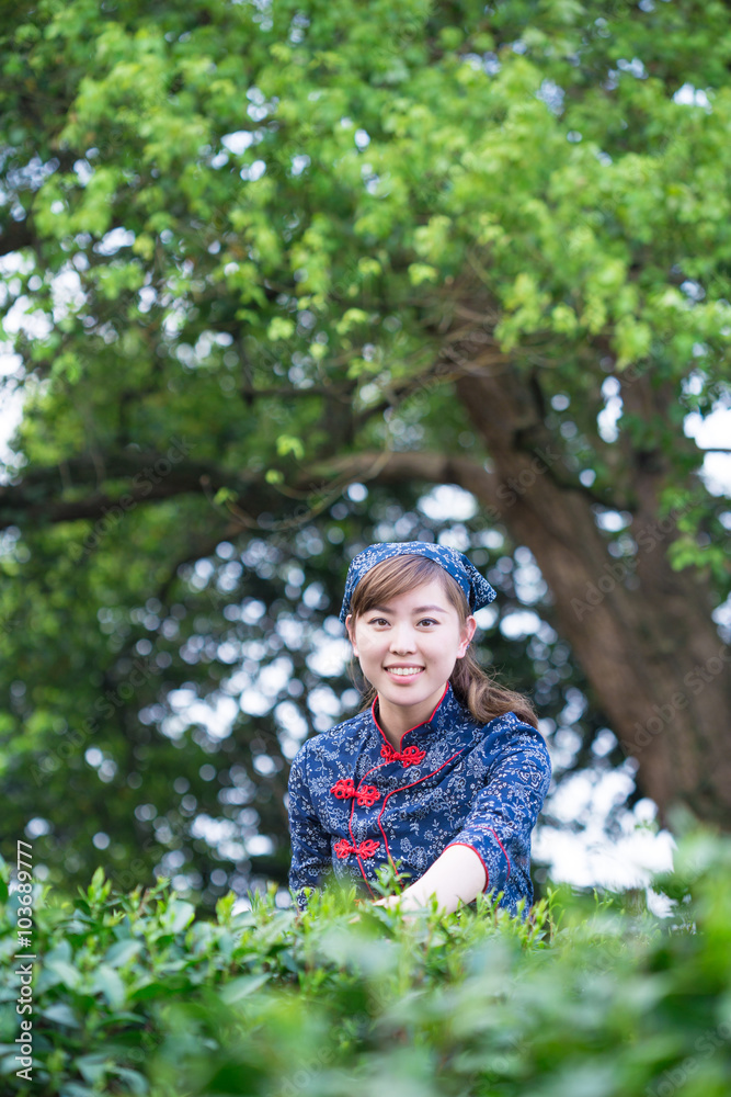 beautiful Asian girl working in green tea plantation