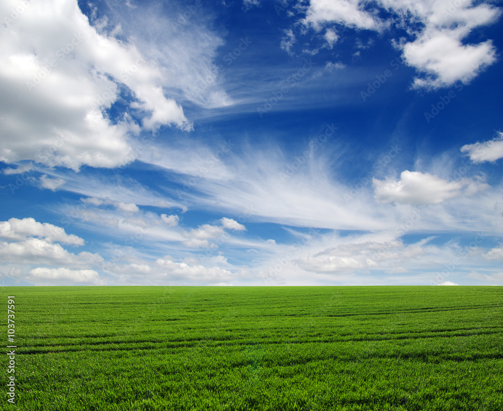  field and sky