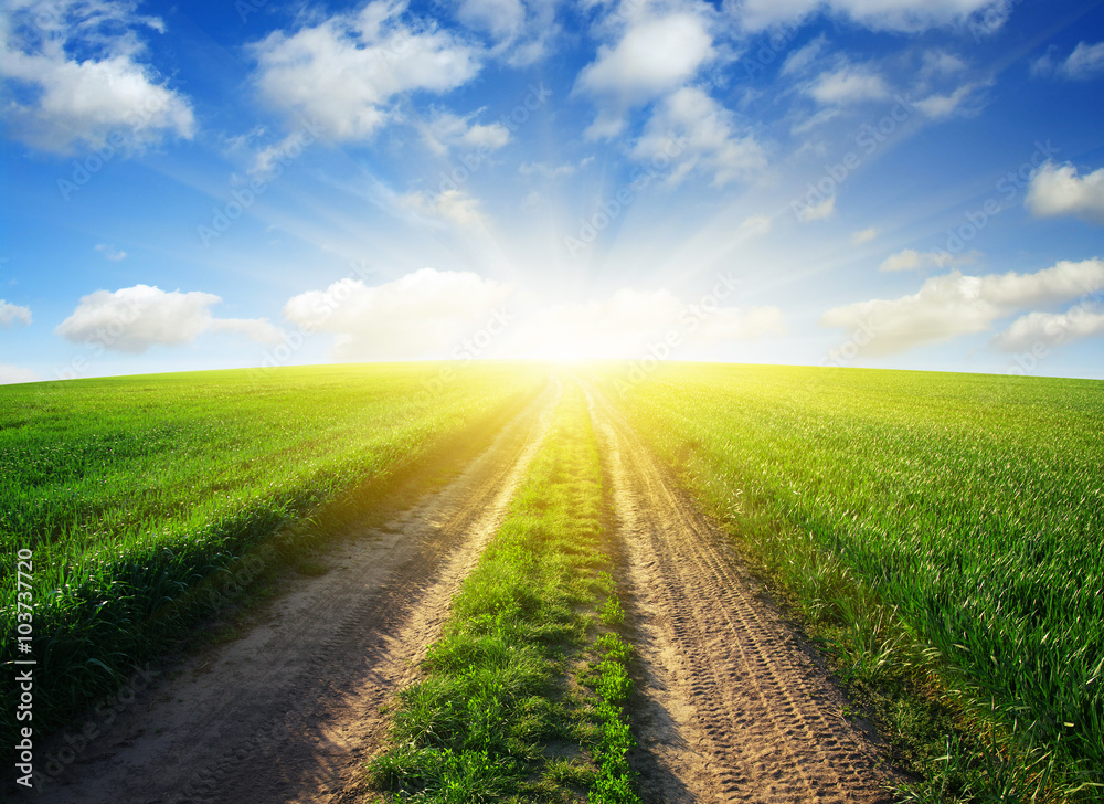 road in field