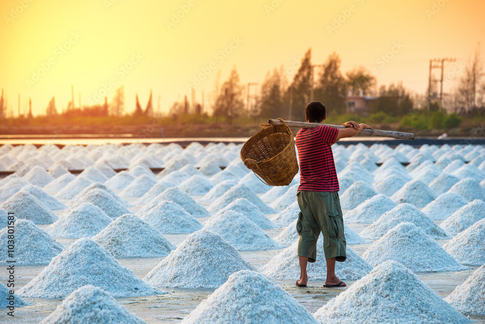 Rear view of man holding basket in salt farm