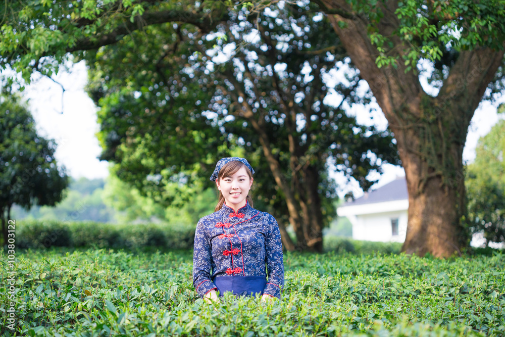 beautiful Asian girl works in green tea plantation