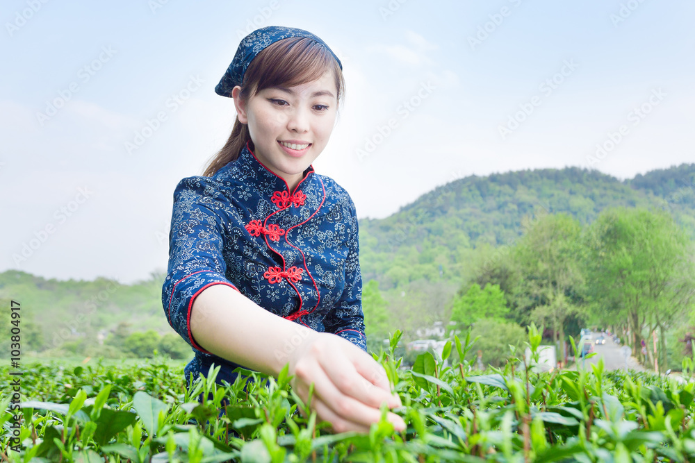 美丽的亚洲女孩在绿茶种植园工作