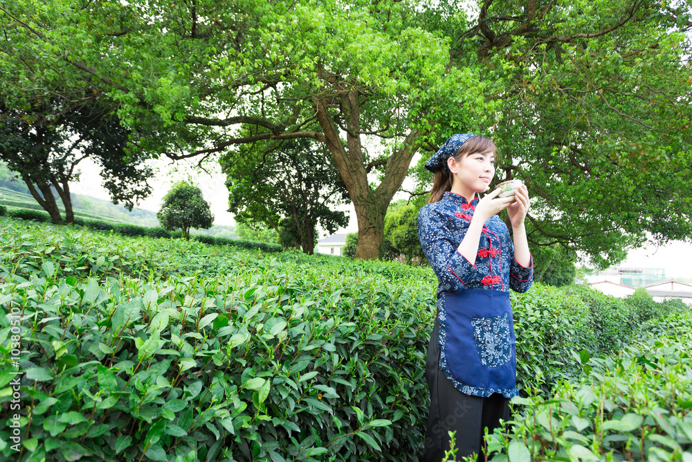 美丽的亚洲女孩在绿茶种植园工作