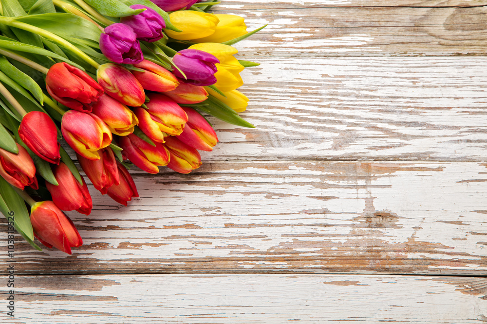 fresh tulips arranged on old wooden background