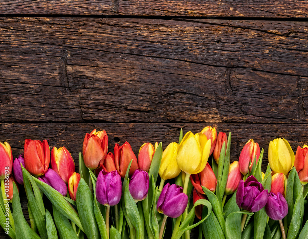 fresh tulips arranged on old wooden background