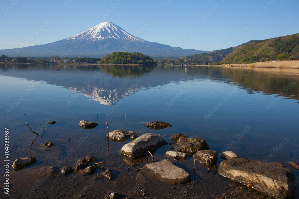 春季川口湖的富士山倒影